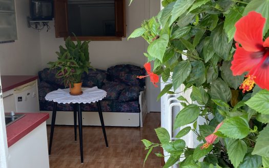 Estudio en Elviria-Marbella, Málaga.