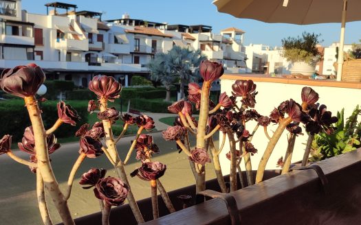 Privado: Apto Vera Playa, Almería.