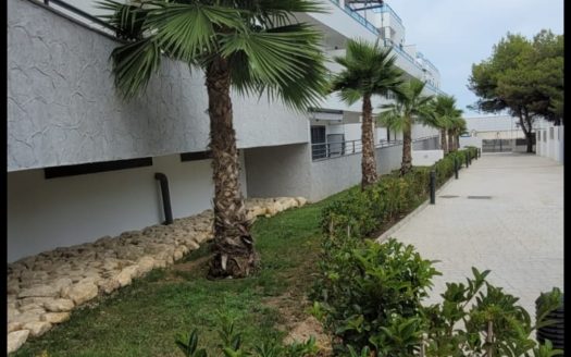 El pinar de Garrucha, Almería.